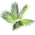 greenary