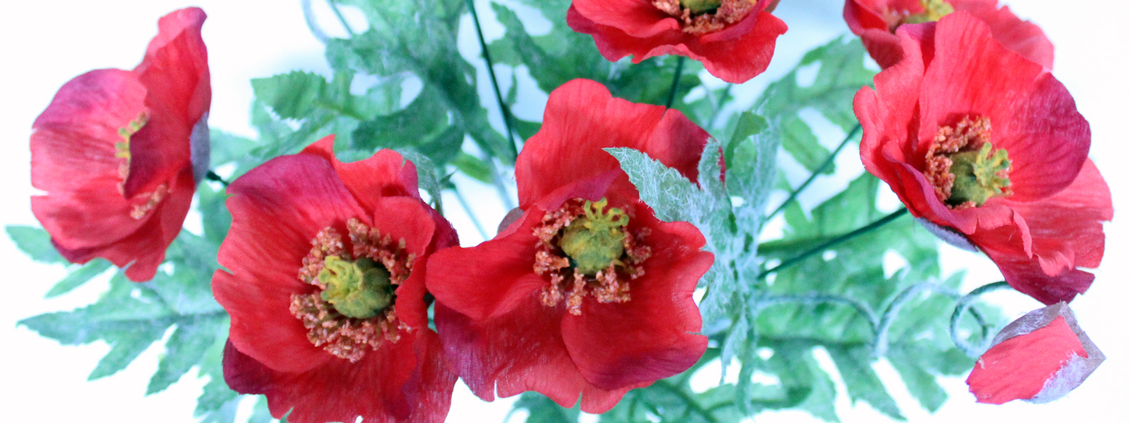 slider image 1